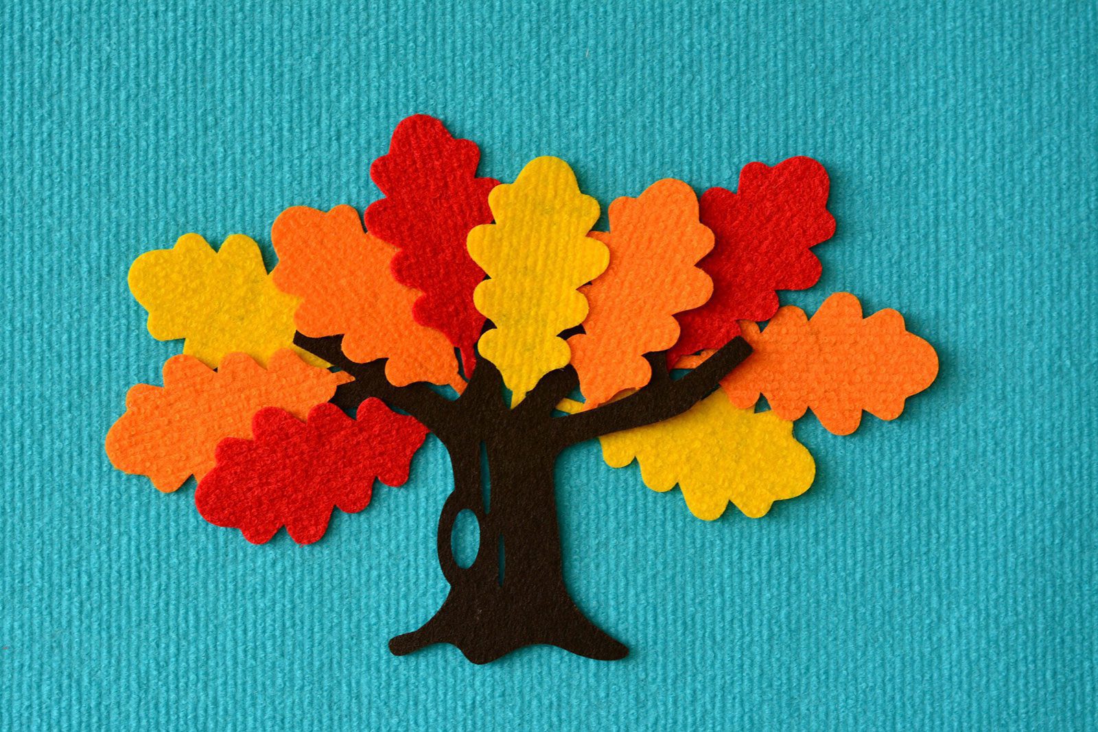 “A little Oak”, VELCRO® Toy Set for Felt Board Storytelling Activities – 22 Pieces
